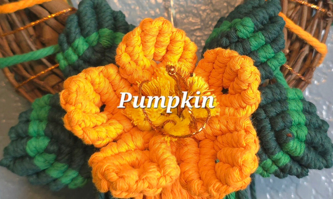 8" *Mini Classic* Colors of the Rainbow 🌈 macrame flower wreath