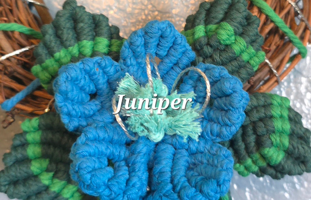 8" *Mini Classic* Colors of the Rainbow 🌈 macrame flower wreath
