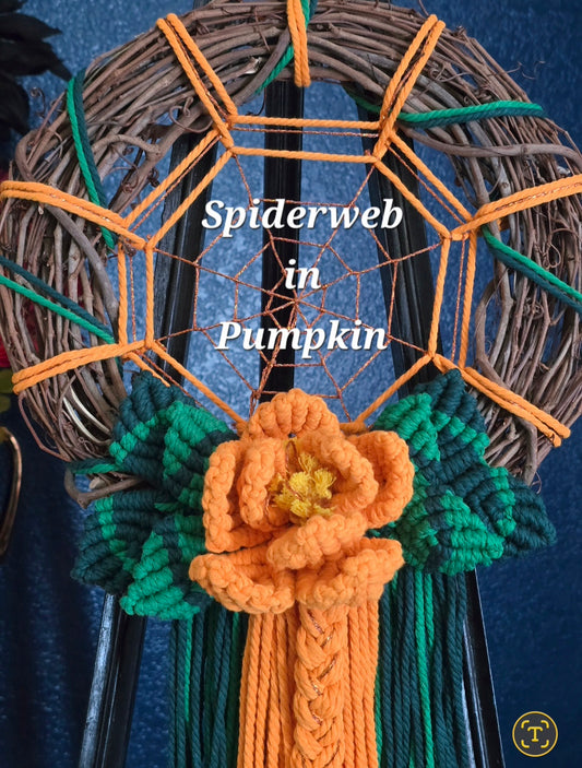 12" *Spider Web* Colors of the Rainbow 🌈 macrame flower wreath