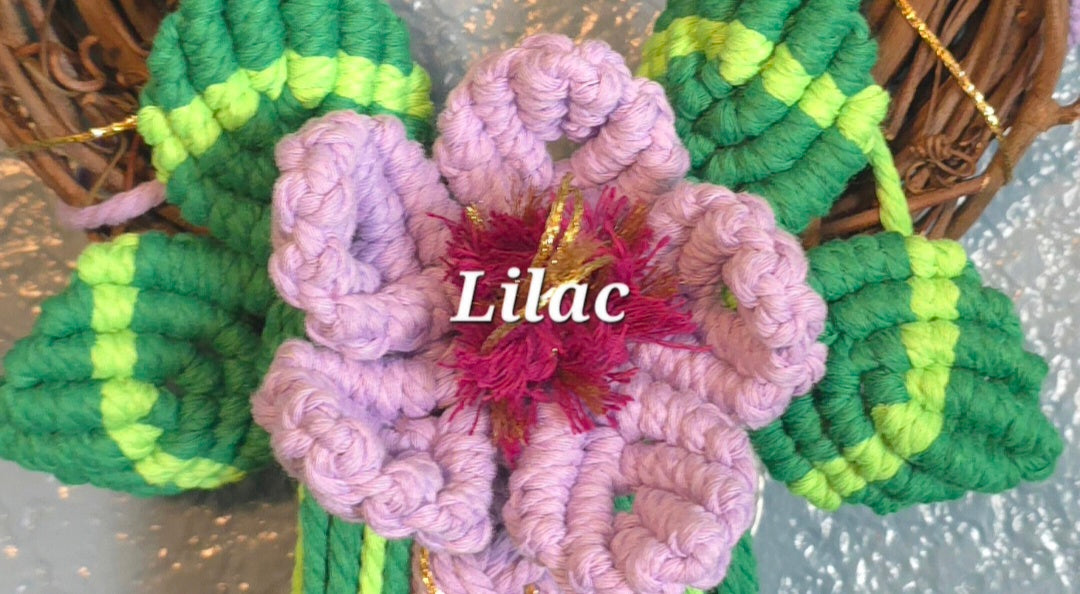 8" *Mini Classic* Colors of the Rainbow 🌈 macrame flower wreath