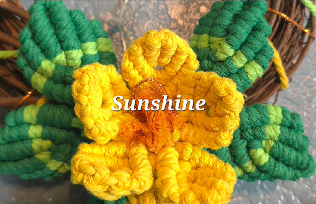 8" *Mini Classic* Colors of the Rainbow 🌈 macrame flower wreath