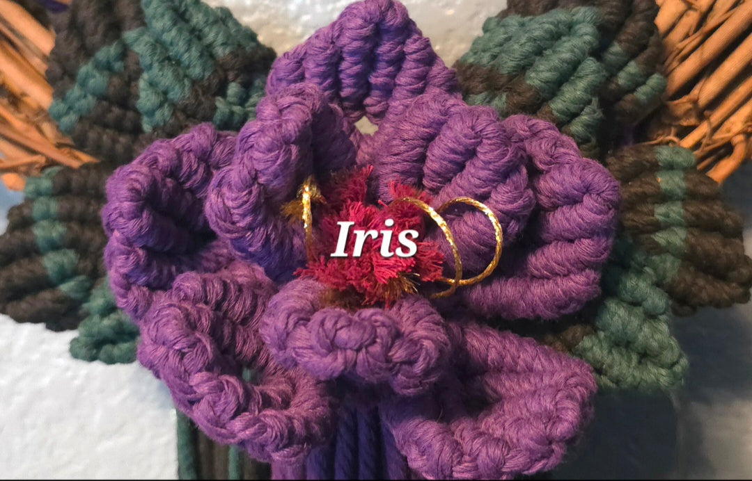12" *Pentacle* Colors of the Rainbow 🌈 macrame flower wreath