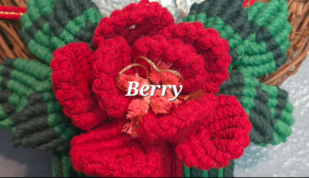 12" *Pentacle* Colors of the Rainbow 🌈 macrame flower wreath